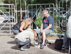Родительский день в "Маяке" – тепло, улыбки и новые традиции!