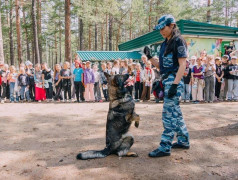 В &laquo;Серебряном бору&raquo; наградили юных художников за рисунки о безопасности