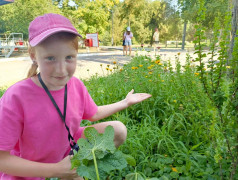 Исследовательский час в ДОЛ "Локомотив"