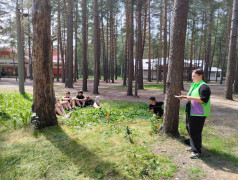 ТИН‑лига в деле: юные организаторы на спортивно‑туристическом маршруте