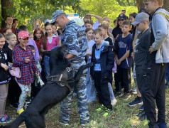 Большая ценность - жизнь