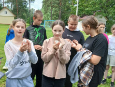 День любимой игры.
