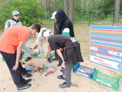 Квест "День первых" в лагере "Сосновый бор"