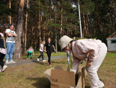 В мире яркого творчества