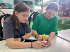 Семейные традиции в картонной коробке. Продолжение