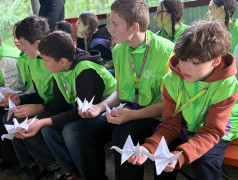 Журавли памяти – символ нашей благодарности 