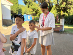 В ДОЛ «Экспресс» Тимбилдинг: От «Ненавижу вас всех» до «Мы – банда!» за один день.
