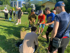 photo_5345798807121673367_y.jpg