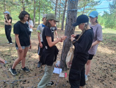 Железнодорожный вызов" в ДОЛ им. Павлика Морозова – это было круто! 