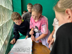 Иммуноген