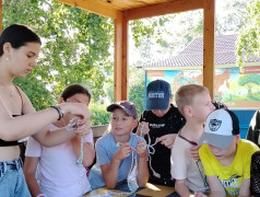 Вектор спасения!