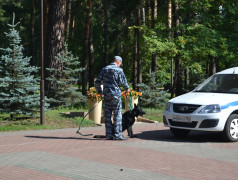 Заслоновград встречает гостей